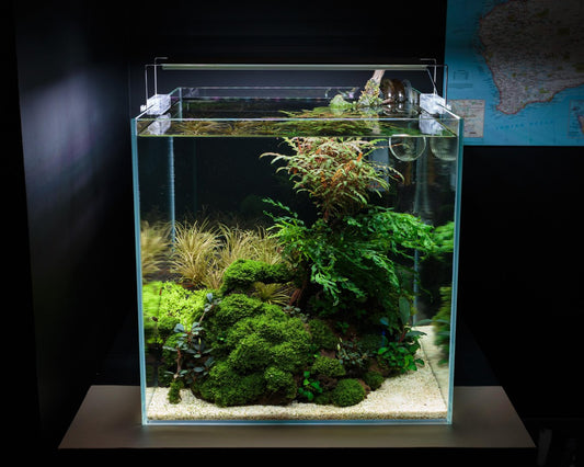 PF SORA Crystal Tank CUBE Series