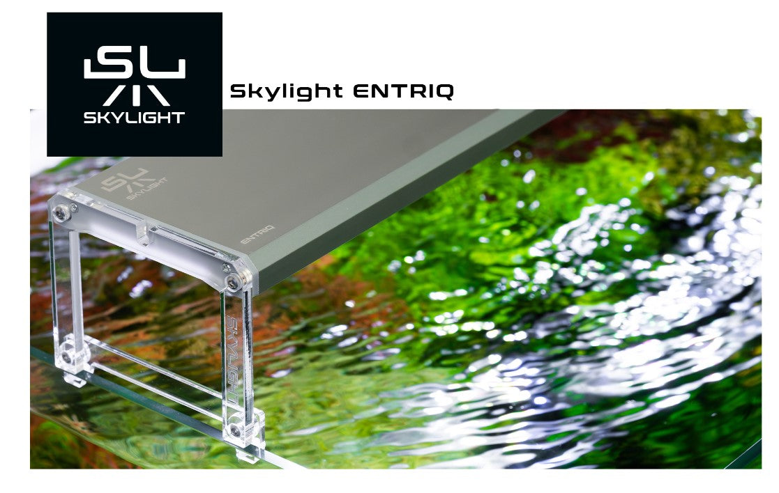 SKYLIGHT Entriq 60cm