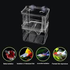 PF Aquarium Isolation Box (for breeding or quarantine use)