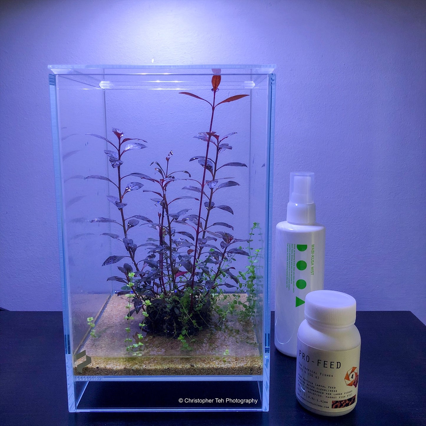 PF SORA Crystal Tank FLOATING Series