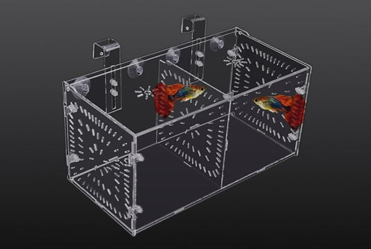 PF Acrylic Isolation Boxes (Breeding/Quarantine)